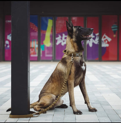 Correa táctica k9 para perro
